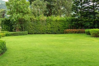 Multi-Purpose Lawn - Godrej Serene Mamurdi